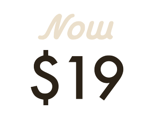 Text displaying "Now $19" with the number 19 in large bold font and the word "Now" in script above it.